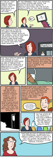 A multi-panel editorial comic strip explaining how COVID-19 fatality rates are affected by testing practices, hospital capacity, and resource availability.