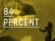 Yellow-tinted editorial infographic showing a child facing a large orca whale with the statistic 84 percent displayed in large white text.