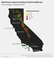 Choropleth map of California showing tree mortality in 2017 with dead trees per acre highlighted along the Sierra Nevada, with Camp Fire and Woolsey Fire locations marked.