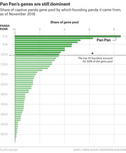 Horizontal bar chart showing share of captive panda gene pool by founding panda rank as of November 2016, with Pan Pan ranked 1st at over 8%.