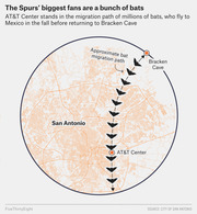 Map of San Antonio showing the approximate bat migration path from Bracken Cave through the AT&T Center, illustrated with bat icons along a dashed line.