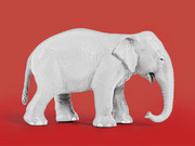 A white elephant toy figurine photographed against a red background, used as editorial illustration symbolizing the Republican Party.
