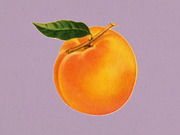 Vintage-style illustration of a peach with green leaves and stem on a lavender background.