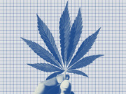 Blue-tinted editorial illustration of a hand holding a cannabis leaf against a graph-paper grid background.