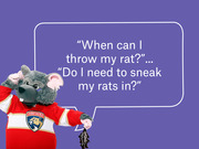 Florida Panthers rat mascot in a red jersey holding a toy rat, with a speech bubble quoting fans asking when they can throw their rats.