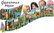 Vintage-style postcard illustration reading Greetings From New Hampshire with political candidate faces peeking above the letters.