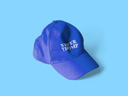 Illustrated blue baseball cap with white embroidered text reading Never Trump on a light blue background.