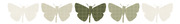 Five butterfly silhouettes in varying shades of green arranged in a row, with grid texture overlaid, used as decorative editorial art.