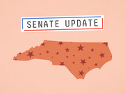 Editorial illustration showing the outline of North Carolina filled with red stars, with a Senate Update label framed in blue and red lines above it.