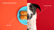 Split editorial image labeled Spurious Correlation B showing egg rolls on a blue plate on the left and a dog's face on the right, illustrating a spurious correlation.