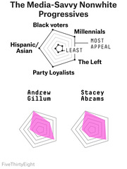 Radar charts showing appeal of Media-Savvy Nonwhite Progressives cluster, with examples Andrew Gillum and Stacey Abrams, across five voter groups.