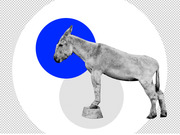 Editorial collage illustration of a grayscale donkey standing on a pedestal, overlaid with a bold blue circle and a transparent circle on a white background.