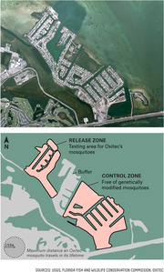Aerial photo and illustrated map showing the release zone and control zone for Oxitec's genetically modified mosquito trial in Florida, with a 150m scale indicating maximum mosquito travel distance.