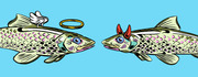 Two illustrated fish facing each other on a blue background, one with angel wings and a halo, the other with red devil horns.