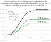 Line chart showing cumulative hours below 45°F at USDA Peach County, Georgia station from Oct. 1 through Aug. 29, comparing historical average to 2015-16 and 2016-17 seasons.