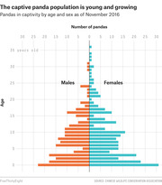 Population pyramid chart showing captive giant pandas by age and sex as of November 2016, with males on the left in orange and females on the right in teal.
