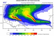 Calibrated ECMWF EPS sub-tropical cyclone risk map showing percent chance of tropical cyclone across the Atlantic and Gulf Coast for forecast period 08/25/2016-09/08/2016.