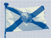 Blue-tinted photo of the Florida state flag flying on a pole against a grid-patterned background, styled as editorial art.