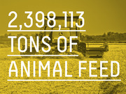 Editorial infographic displaying the statistic 2,398,113 tons of animal feed over a yellow-tinted photo of a combine harvester in a field.