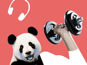 Editorial collage illustration on a coral background featuring a giant panda, a hand lifting a dumbbell, and a white headphones icon.
