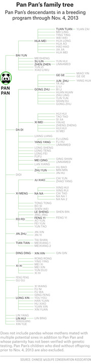 Family tree diagram showing Pan Pan the giant panda's descendants through a breeding program up to November 4, 2013, with names of offspring across multiple generations.