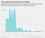 Area chart showing rainbow smelt annual commercial harvest from Minnesota waters of Lake Superior in millions of pounds, peaking around 1970 and collapsing after 1980.
