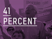 Purple-tinted editorial infographic showing 41 percent in large text over a photo of Bernie Sanders at a campaign rally with Bernie for President signs.